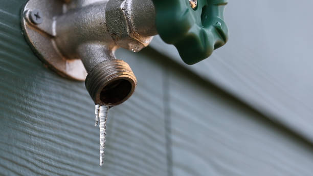 Best Septic Systems  in Sheldon, IA